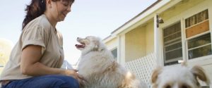 10 fun activities to do with your dog while boarding