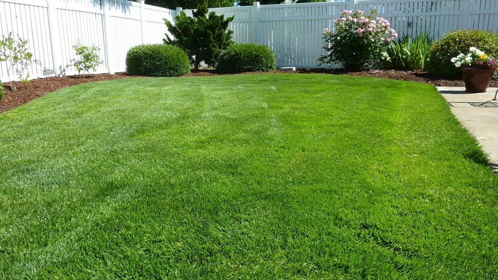 Benefits of using artificial turf in your garden
